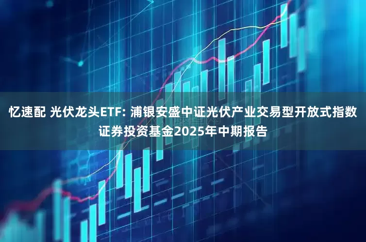 忆速配 光伏龙头ETF: 浦银安盛中证光伏产业交易型开放式指数证券投资基金2025年中期报告