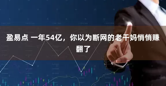 盈易点 一年54亿,你以为断网的老干妈悄悄赚翻了